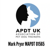 Dog Trainer in Didcot