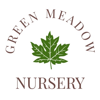 Green Meadow Nursery