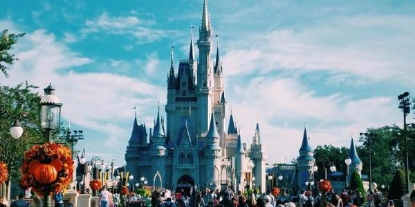 Walt Disney World Castle