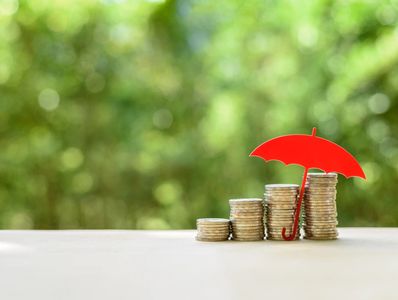 Long term money investment and wealth management with risk protection,