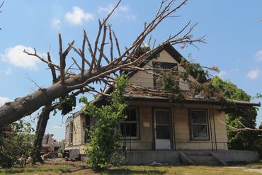 A large fallen tree rests on a damaged house under a clear sky.