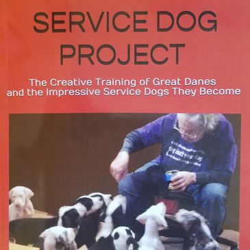 The Service Dog Project donates creatively educated Great Danes to Veterans, First Responders and t