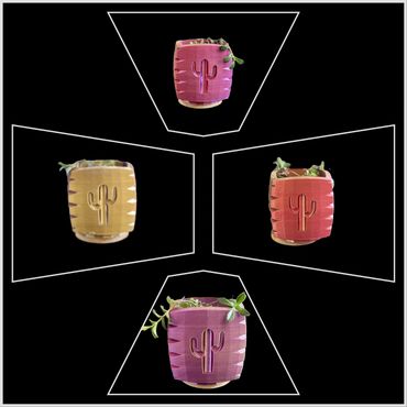 Four small square planters with cactus designs and succulents inside.