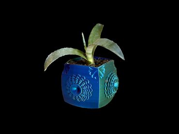 Small plant in a decorative blue and green pot with embossed floral designs.