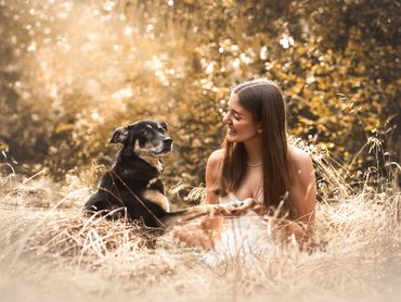 Hundeschule Bad Kissingen Mobile Hundeschule Hundetrainer in meiner Nähe Hundeausbildung Hundeschule