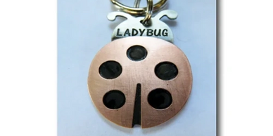 Ladybug Pet ID Tag