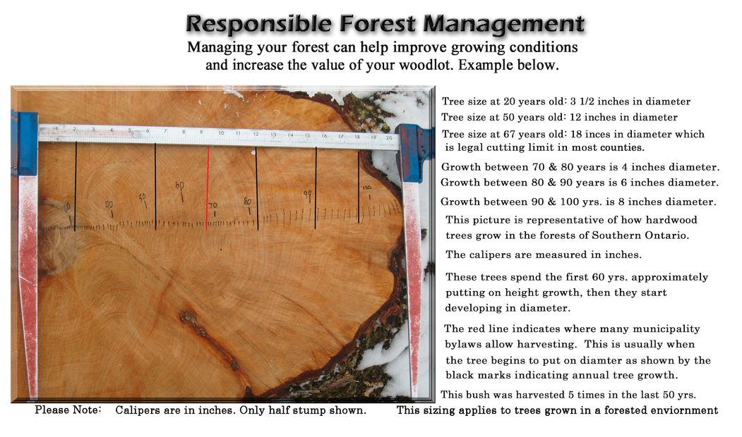 Output growth from responsibly managing your woodlot. This is so important for optimum economic and environmental returns.