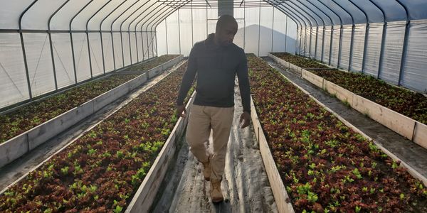Image of Walt Bonham, a dark skinned young man, walking among beds of growing lettuce.