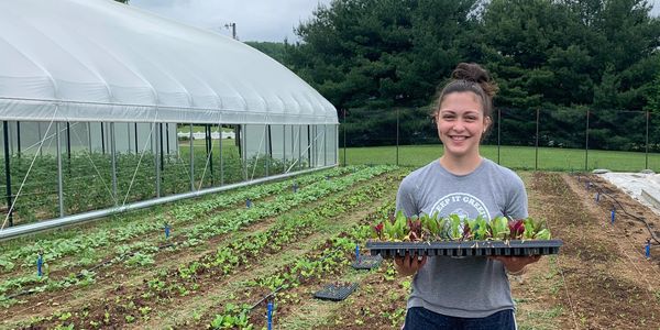 Image of light-skinned woman holding a bed of sprouted lettuce in a field of growing greens.