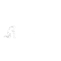 thehalefoundation.org