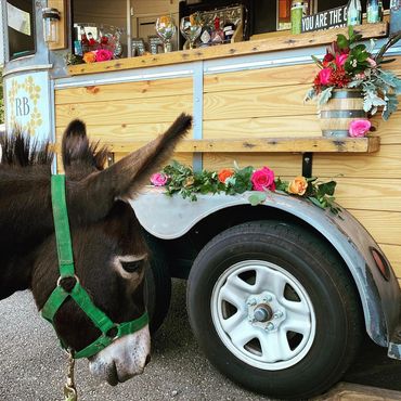 wedding donkey the rolling bar horse trailer bar mobile alpharetta ga lewallen farms wedding venue