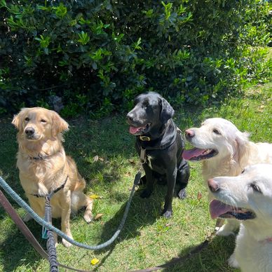 The gang is all here!