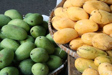 Green and yellow mangoes 