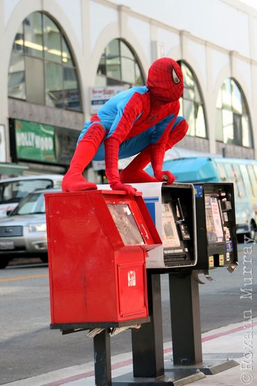 Hollywood Blvd Spider-Man