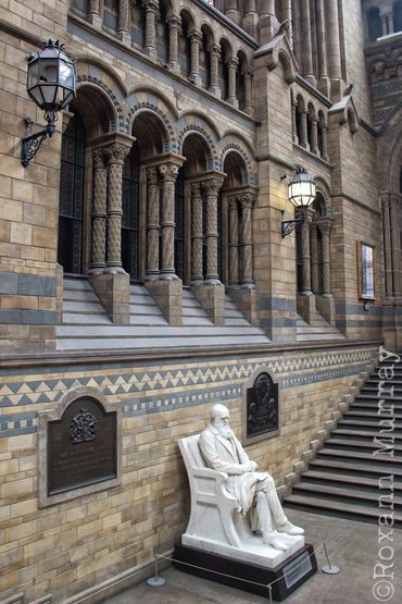 A white Charles Darwin statue sits in between stairways at the Natural History Museum in London. 