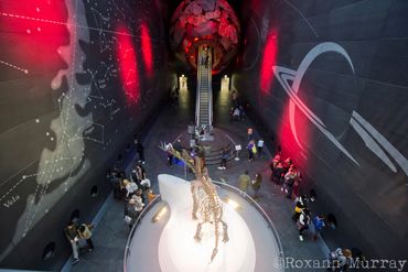 The interior of the Natural History Museum includes a dinosaur and lit up escalator.