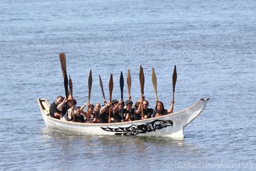 A canoe full of people hold their paddles upas they approach the shore during Canoe Journey.