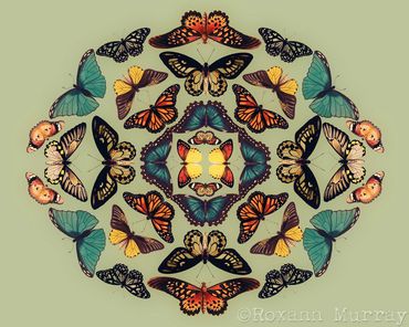Butterfly mandal