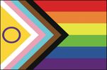 The Progress Pride flag.