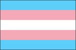 The trans pride flag.