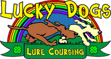 Lucky Dogs Lure Coursing