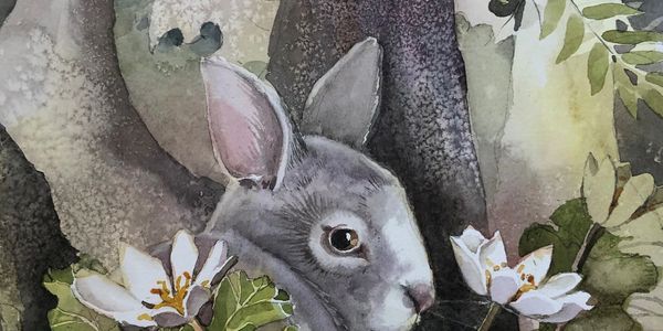 Bloodroot and Rabbit