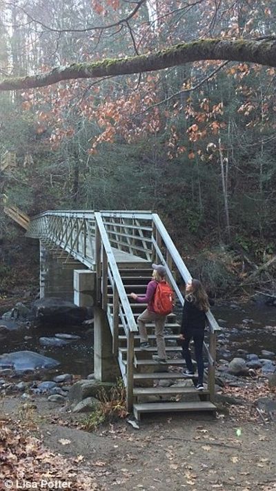 Two people hiking up steps on a forest bridge over a rocky stream.