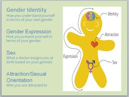 LGBTQ, LGBTQIA, LGBTQIA+, sexual identity, gender identity, DEI training