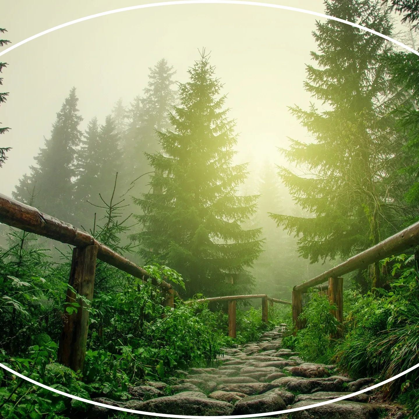 path