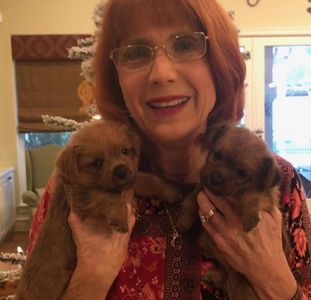 Tina with two puppies