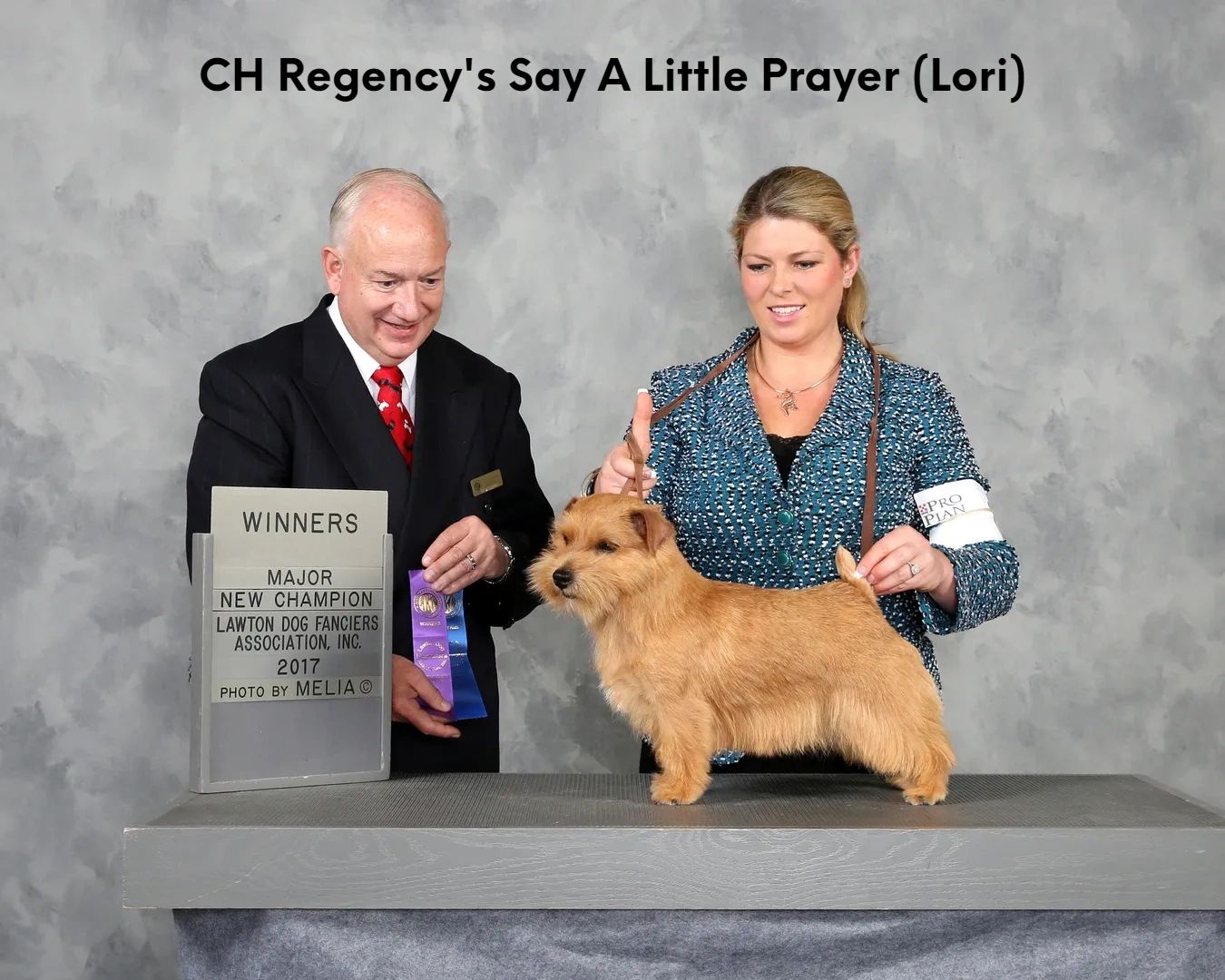 CH Regency's Say A Little Prayer (Lori)