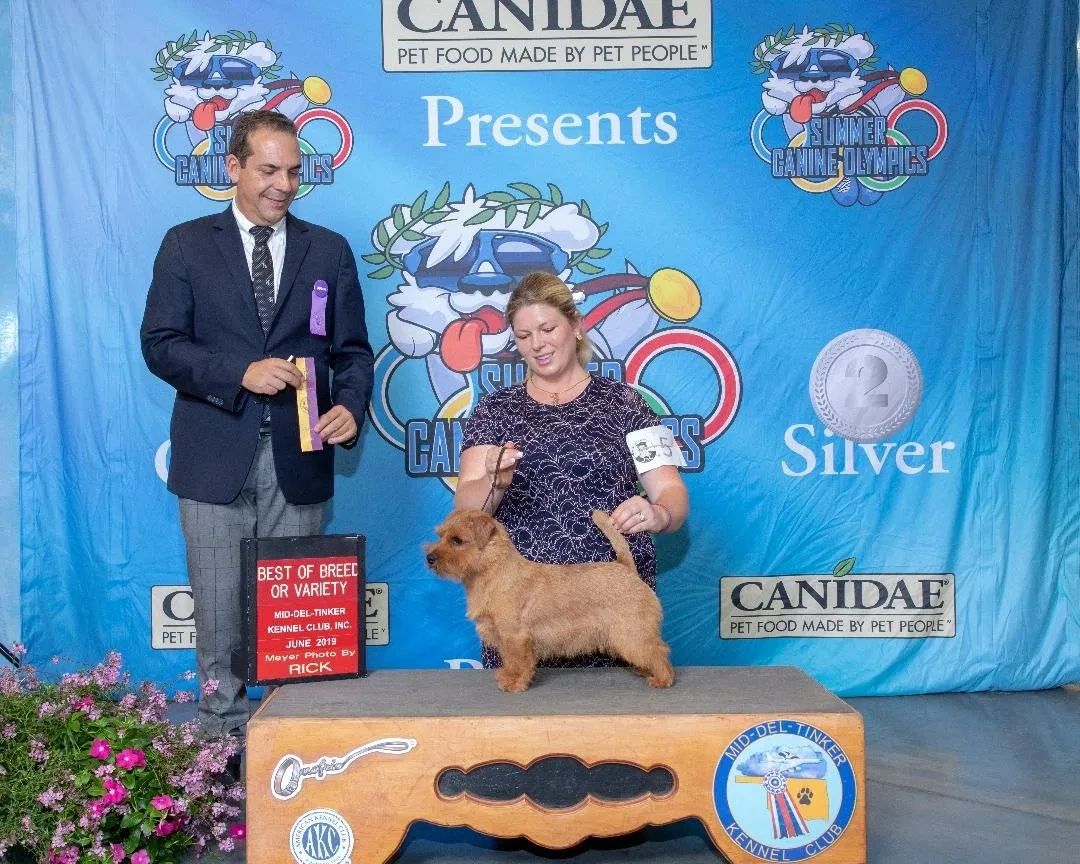 GCH Glenelg Riches At Regency (Rico)