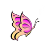 Butterfly icon with grey background