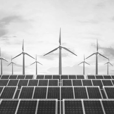 Picture Credits- cif.org