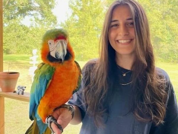 Sunset Wildlife Connection intern with a macaw parrot