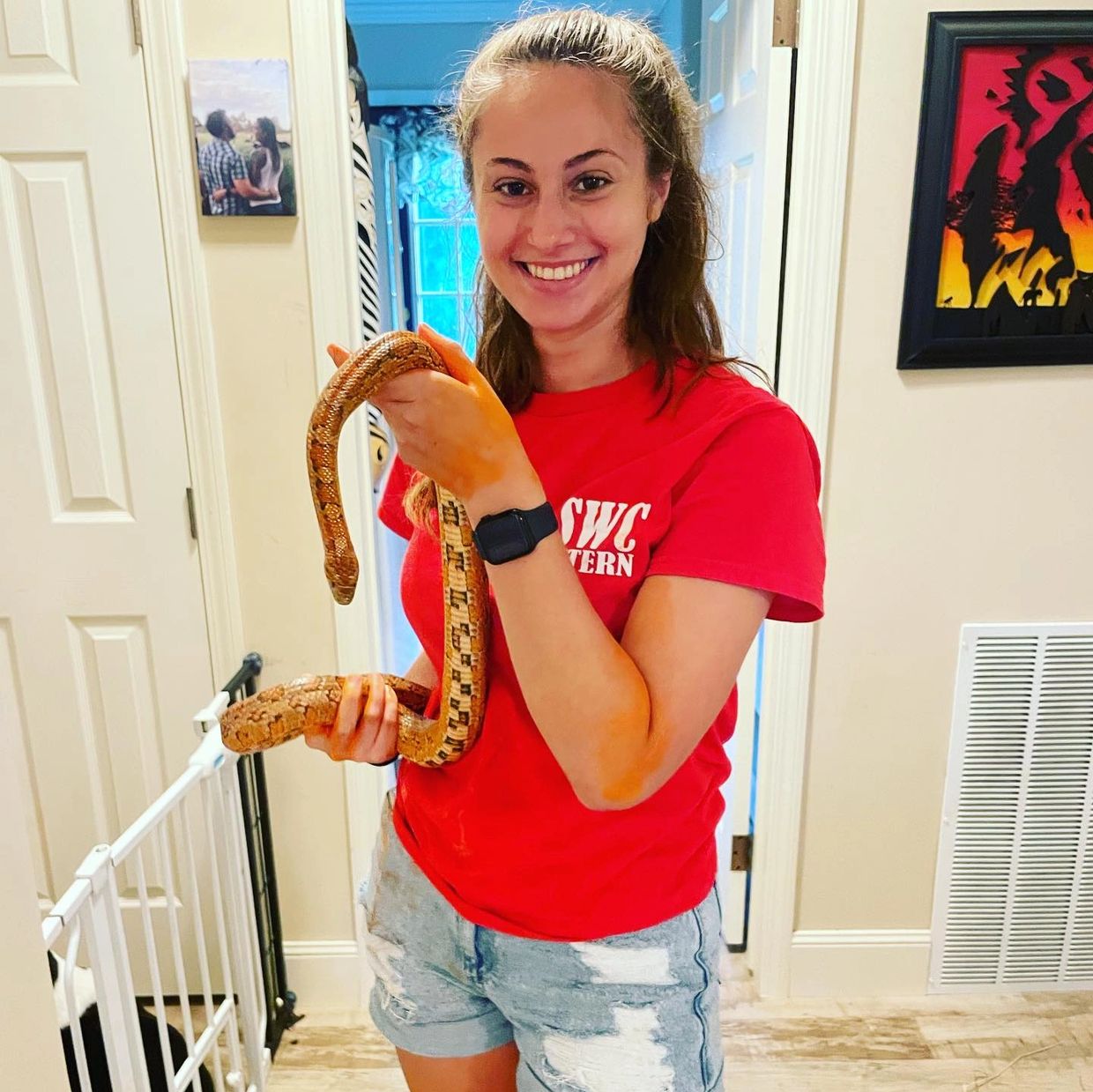 Sunset Wildlife Connection intern with a cornsnake