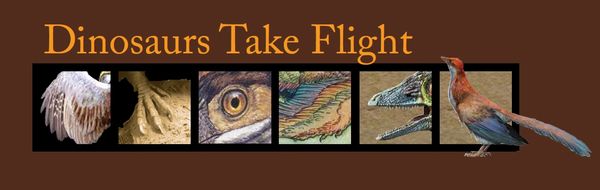 Dinosaurs Take Flight logo with archaeopteryx macro images.