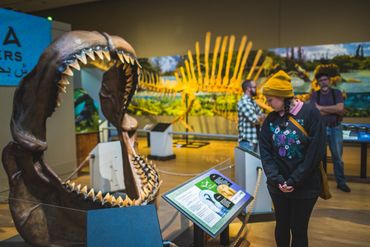 Visitors explore dinosaur exhibits with a large jaw and skeleton display in a museum.