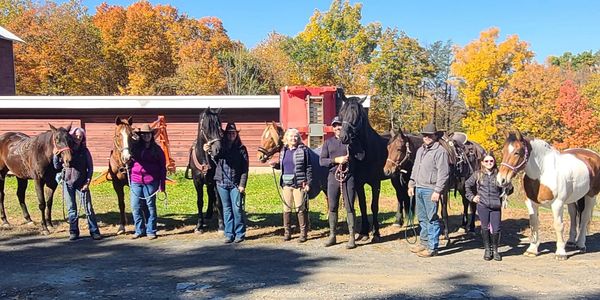 Group of people with horses outdoors on a sunny autumn day.