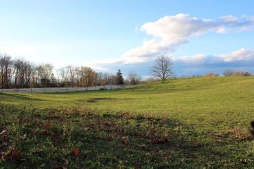 A peaceful grassy field under a blue sky with scattered clouds.