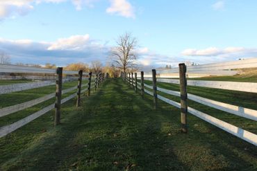 A green pathway lined with wooden fences under a partly cloudy sky.