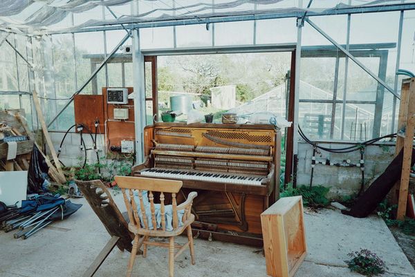 An old upright piano with exposed strings inside a greenhouse.