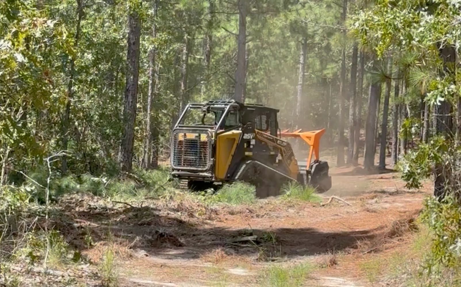 A forestry machine clearing underbrush in a pine forest.Forestry mulching solutions.