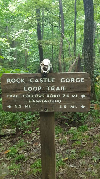 Rock Castle Gorge Trail Marker