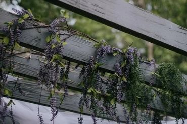 Wisteria adds a beautiful backdrop to this wedding at Fairhope Stables