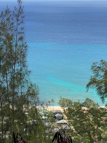 View from Sunset Pillbox hike.
Photo by:
Daniel James