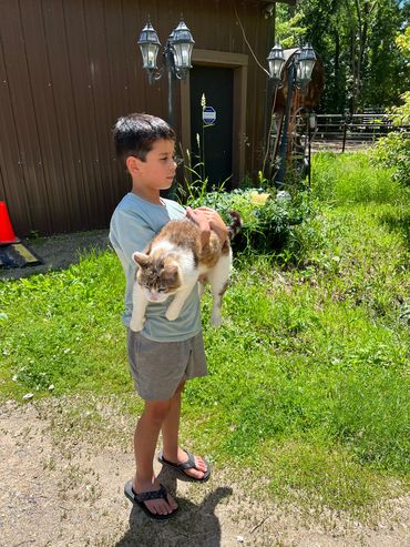Butterscotch is a stray cat rescued by Animal Health Center in Cannon Falls.