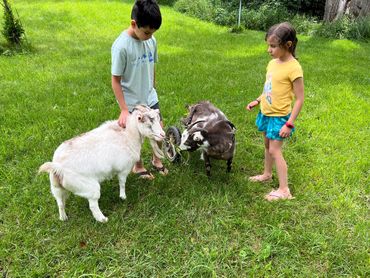Grandchildren with Anna and Elsa