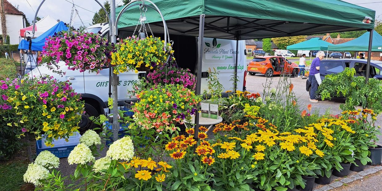 Outdoor plant market with vibrant flowers and shoppers.