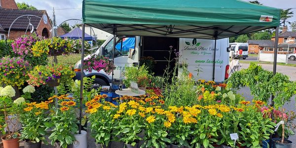 Outdoor plant stall with colorful flowers and greenery.